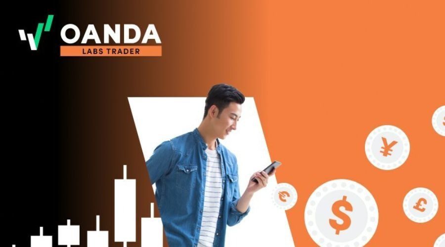 中上协发布2025年上市公司现金分红榜单